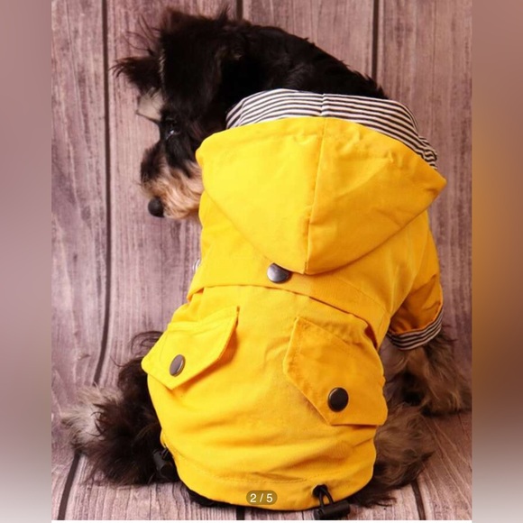 New Chic Dog Raincoat 🐶 🌧️ - Picture 2 of 4
